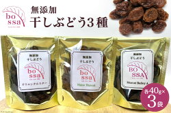 【ふるさと納税】無添加 干しぶどう 3種セット 各40g×1袋 計3袋 食べ比べ 期間限定 国産 レーズン ドライフルーツ 砂糖不使用　【 ブドウ お菓子 スイーツ フルーツ 】　お届け：2023年11月上旬〜2024年3月上旬において順次出荷･･･ 画像1