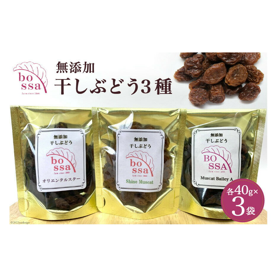 【ふるさと納税】無添加 干しぶどう 3種セット 各40g×1袋 計3袋 食べ比べ 期間限定 国産 レーズン ドライフルーツ 砂糖不使用　【 ブドウ お菓子 スイーツ フルーツ 】　お届け：2023年11月上旬〜2024年3月上旬において順次出荷･･･