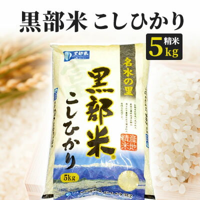 17位! 口コミ数「0件」評価「0」米 令和5年 黒部米 コシヒカリ 5kg 精米 白米 こしひかり お米 / 黒部市農業協同組合 / 富山県 黒部市　【 冷めても 粘り しっ･･･ 