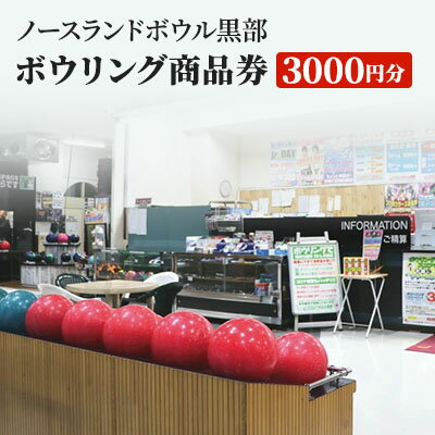 【ふるさと納税】商品券 ボウリング 3000円分 スポーツ レジャー / ノースランドボウル黒部 / 富山県 黒部市　【 体…