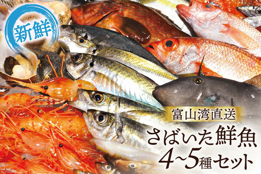 【ふるさと納税】魚 富山湾直送 さばいた鮮魚セット 4～5種 旬 新鮮 鮮魚 刺身 詰め合わせ 産地直送 冷蔵/くろべ漁業協同組合 魚の駅「生地」/富山県 黒部市　【 海鮮 魚介類 魚介 セット 】