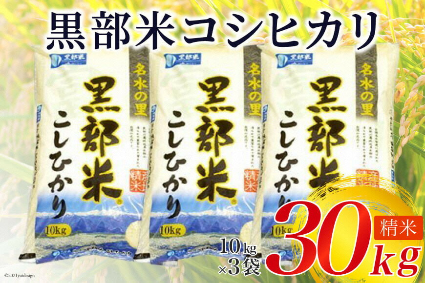 【ふるさと納税】【令和7年産】 黒部米 コシヒカリ 10kg×3袋 計30kg 精米　お届け：2025年10月中旬から順次出荷