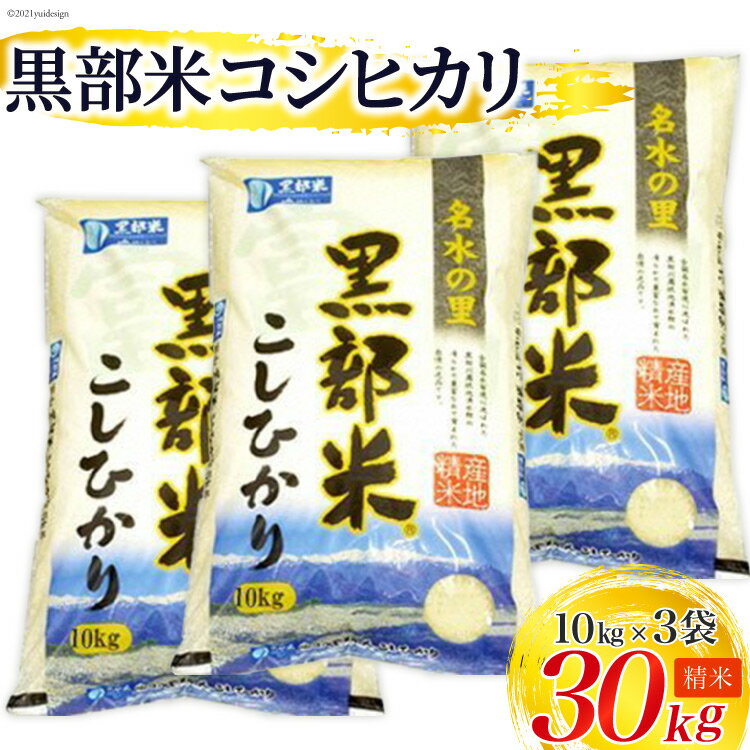 【ふるさと納税】米 令和6年 黒部米 コシヒカリ 10kg×3袋 計30kg 精米 白米 こしひかり お米/黒部市農業協同組合/富山県 黒部市　 お米 しっとりした甘み おいしさが持続 　お届け：2024年10月から順次出荷のサムネイル