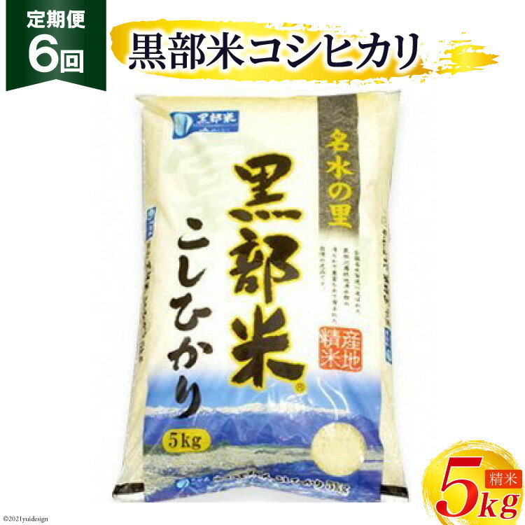 定期便 米 黒部米 コシヒカリ 5kg×6回 総計30kg 精米 白米 こしひかり お米 /黒部市農業協同組合/富山県 黒部市[ご飯 名水] [定期便・ 6か月連続 5kg ]