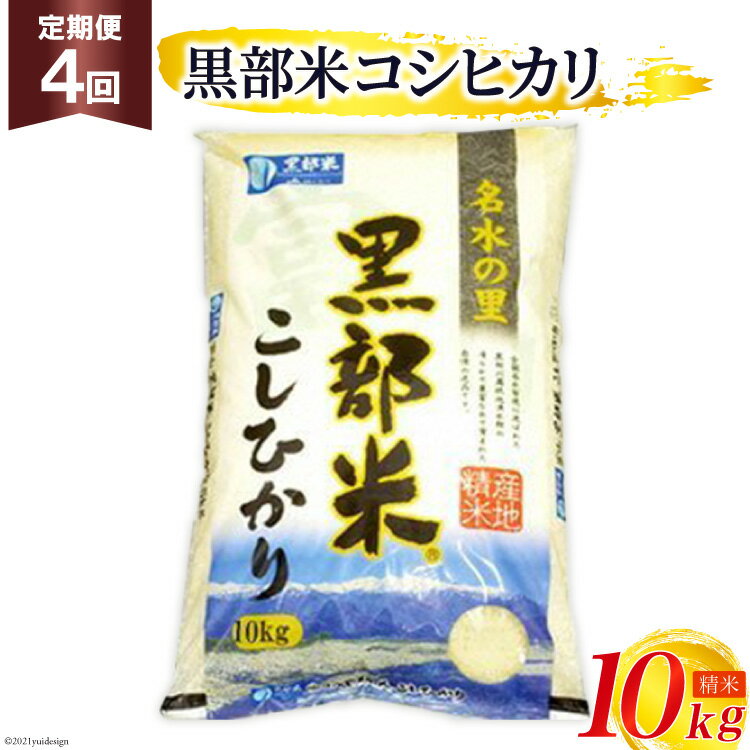 【ふるさと納税】定期便 米 黒部米 コシヒカリ 10kg×4回 総計40kg 精米 白米 こしひかり お米 /黒部市農業協同組合/富山県 黒部市　【定期便・ 4か月連続 10kg 】