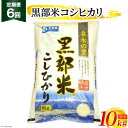 29位! 口コミ数「0件」評価「0」定期便 米 黒部米 コシヒカリ 10kg×6回 総計60kg 精米 白米 こしひかり お米 /黒部市農業協同組合/富山県 黒部市　【定期便・･･･ 