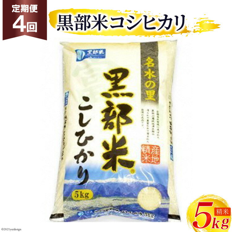 20位! 口コミ数「0件」評価「0」定期便 米 黒部米 コシヒカリ 5kg×4回 総計20kg 精米 白米 こしひかり お米 /黒部市農業協同組合/富山県 黒部市　【定期便・ ･･･ 