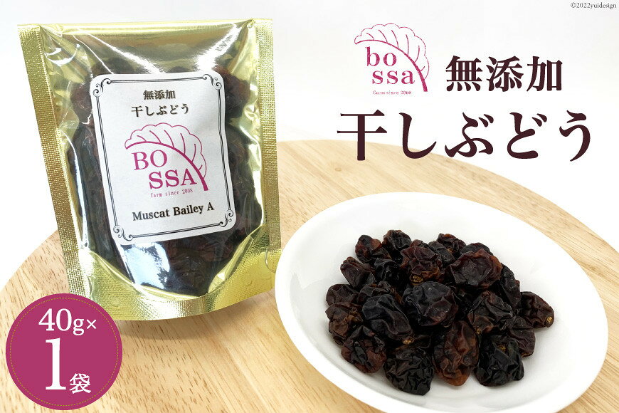 富山県黒部市の画像2