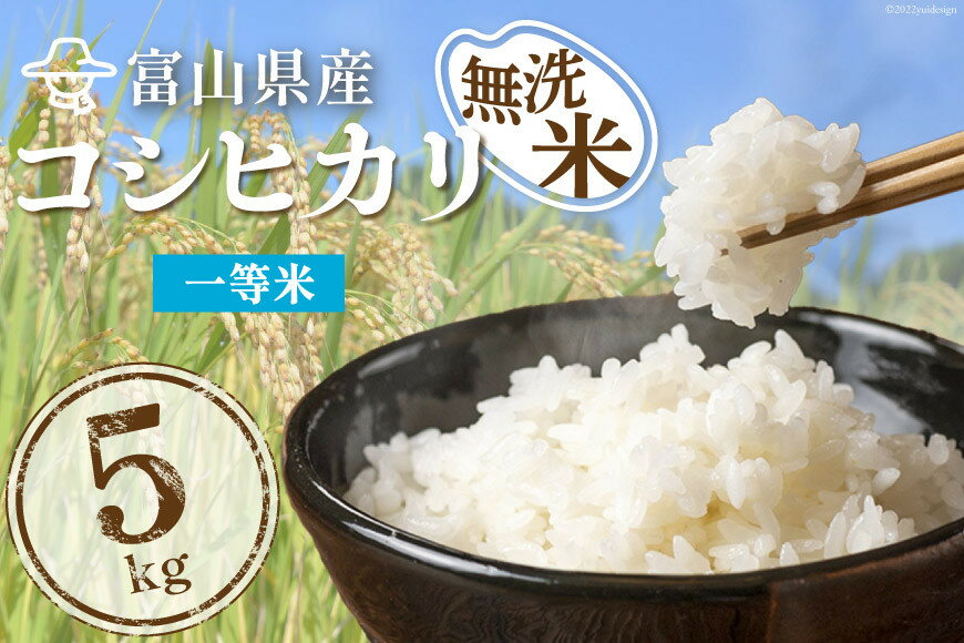 【ふるさと納税】米 無洗米 コシヒカリ 5kg ご飯 ごはん 白米 精米/林農産/富山県 黒部市　【 お米 こしひかり 精米 】