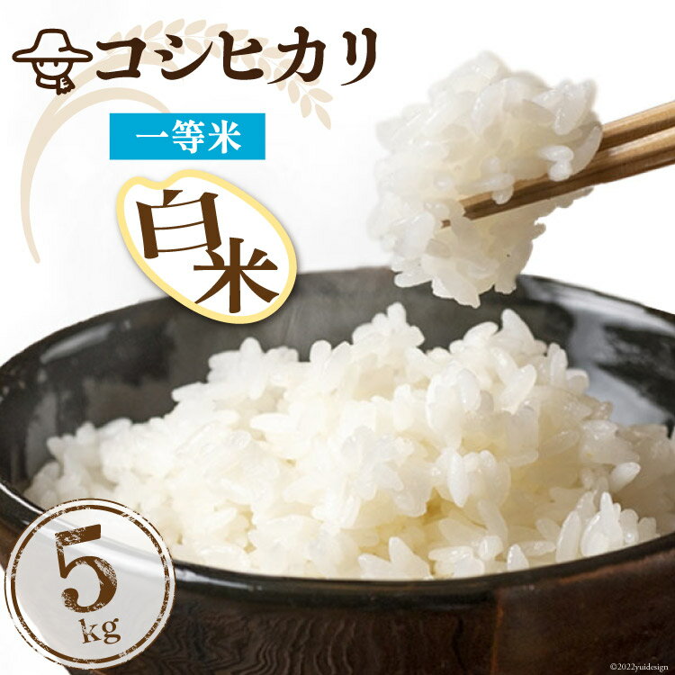 【ふるさと納税】米 精米 コシヒカリ 5kg コメ ご飯 ご