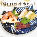 11位! 口コミ数「0件」評価「0」【富山おすすめセット】鯛のかぶと焼 120g＆ほたるいか沖漬け 5杯＆鯛の昆布〆刺身 90g セット 詰め合わせ 鯛 かぶと焼 ホタルイカ ･･･ 