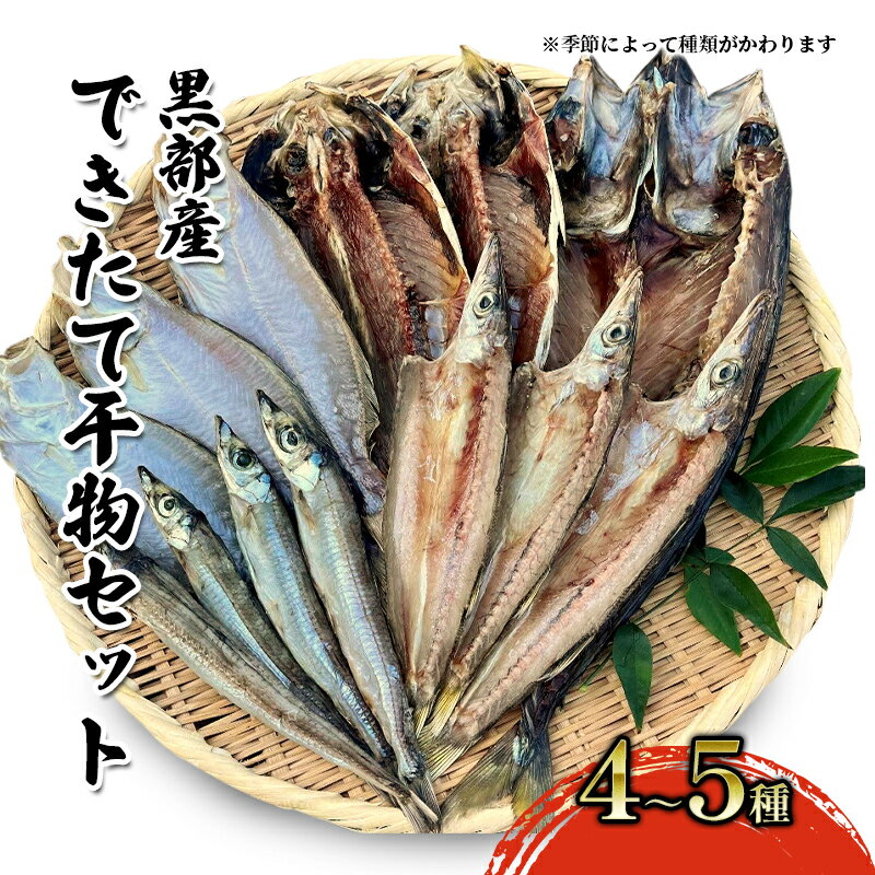 【ふるさと納税】できたて干物セット 4〜5種 おまかせ 富山県黒部市/産地直送 旬 魚介 魚 さかな 詰め合わせ ひもの 富山湾 名水 産地直送 生地　【 干物の詰め合わせ 加工品 朝食 朝ごはん おかず 夕飯 晩御飯 】･･･