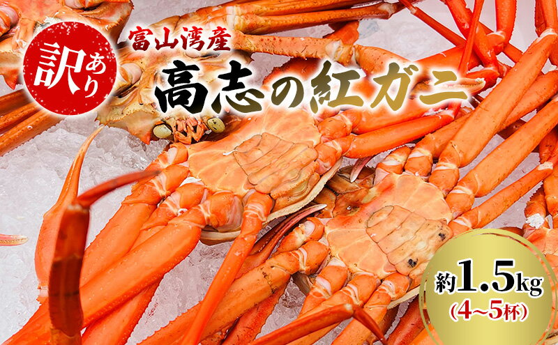【ふるさと納税】【訳あり】富山湾産カニ 高志の紅ガニ お買い得 約1.5kg（4～5杯）富山県黒部市/紅ズワイ カニ 漁師直販 恵比須丸 蟹のむき身 鮮度抜群 風味豊か イベント 集まり お祝い 　お届け：2025年9月中旬～2026年5月下旬