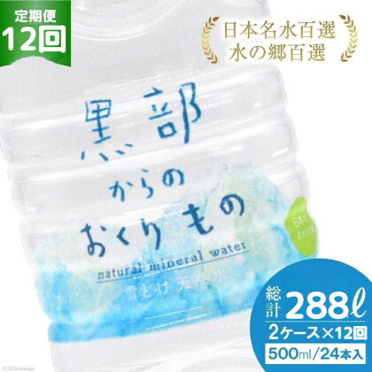 【合計576本】定期便 黒部からのおくりもの 500ml×24本×2ケース×12回 総計288L 名水百選 黒部の名水 防災 アウトドア ペットボトル 飲料水 ミネラルウォーター 2個口配送/IAC/富山県 黒部市　【定期便・ 飲み物 ドリンク ペットボトル飲料 】