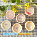 【ふるさと納税】【お任せ】季節のジェラート120ml×お楽しみ6個セット/富山県黒部市 アイス アイスクリーム アイリーハウス 黒部の名水 送料無料 詰め合わせ