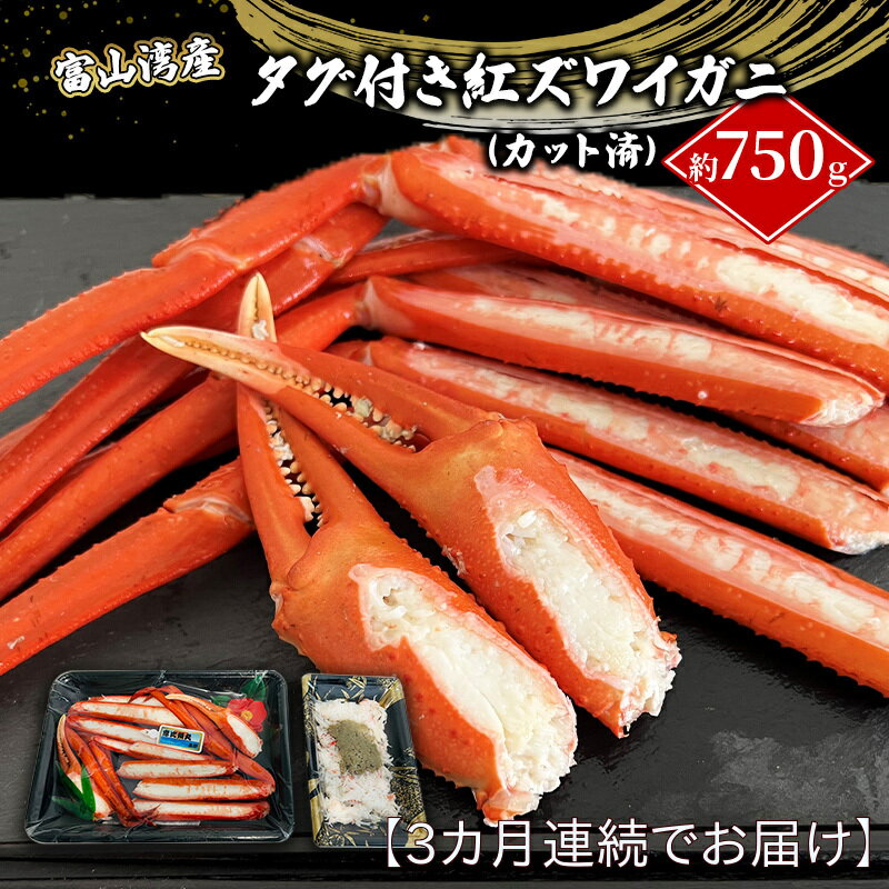 【ふるさと納税】【3か月連続でお届け】厳選 富山湾産 タグ付き紅ズワイガニ約750g（カット済）富山県黒部市/贈答 自分にご褒美 漁師直販 恵比須丸 定期便　【定期便・蟹・カニ・ずわい蟹・ずわいガニ・ズワイガニ】　お届け：2023年12月中旬～2024年4月中旬のサムネイル