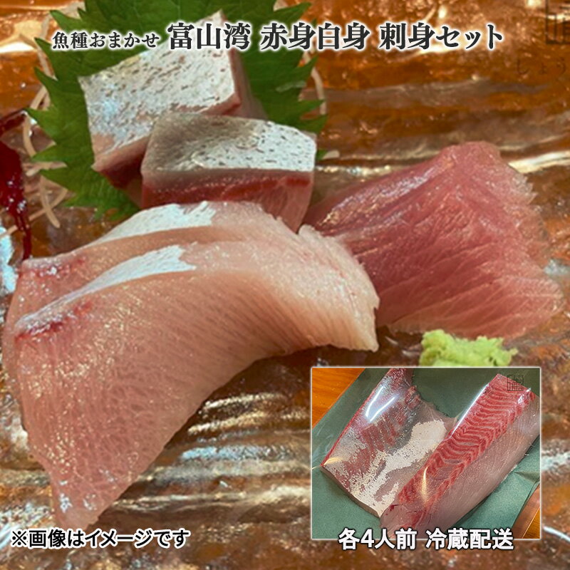 【ふるさと納税】魚種おまかせ 富山湾 赤身白身 刺身セット 各4人前 冷蔵配送/富山県黒部市　魚介類・魚介類のサムネイル