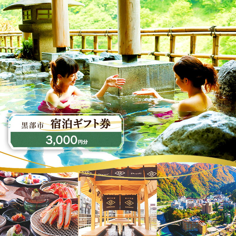 【ふるさと納税】黒部市宿泊ギフト券 3,000円分 チケット 宿泊券 ギフト券 温泉 旅行 宿 旅館 観光 黒部 宇奈月のサムネイル