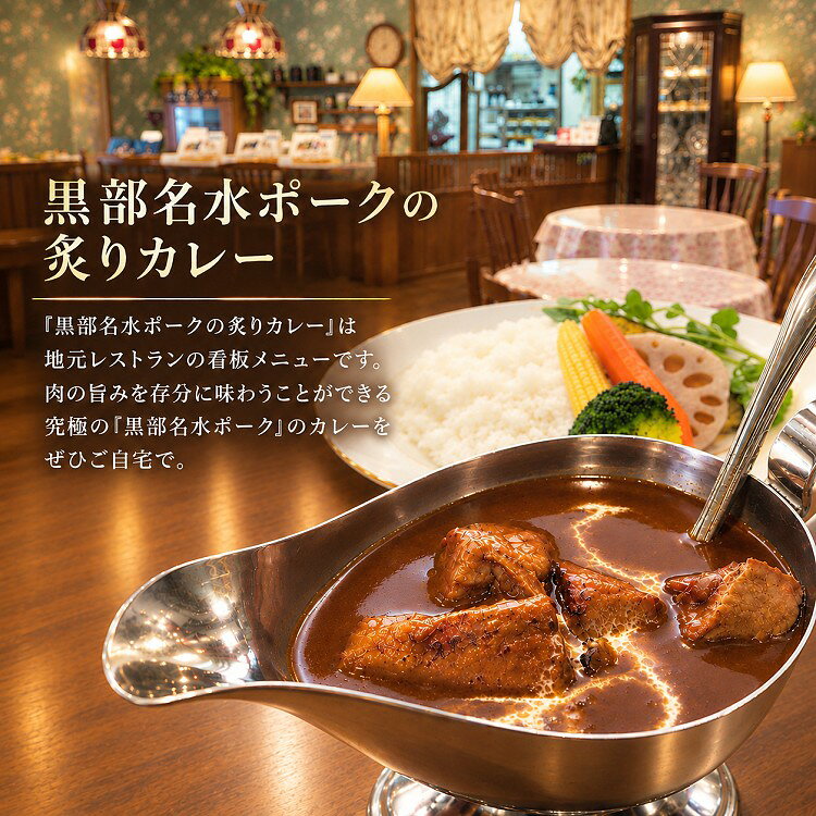 【ふるさと納税】黒部名水ポーク炙りポークカレー 冷凍食品 1人前 / 富山県黒部市 保存食 非常食 送料無料 レトルトカレー ポークカレー 冷凍 カントリーキッチン 惣菜 洋食 手軽 便利 ランチ 昼食 夕飯 夜ごはん ストック f162078-kurobe-10000819 富山県黒部市 サンプル画像2