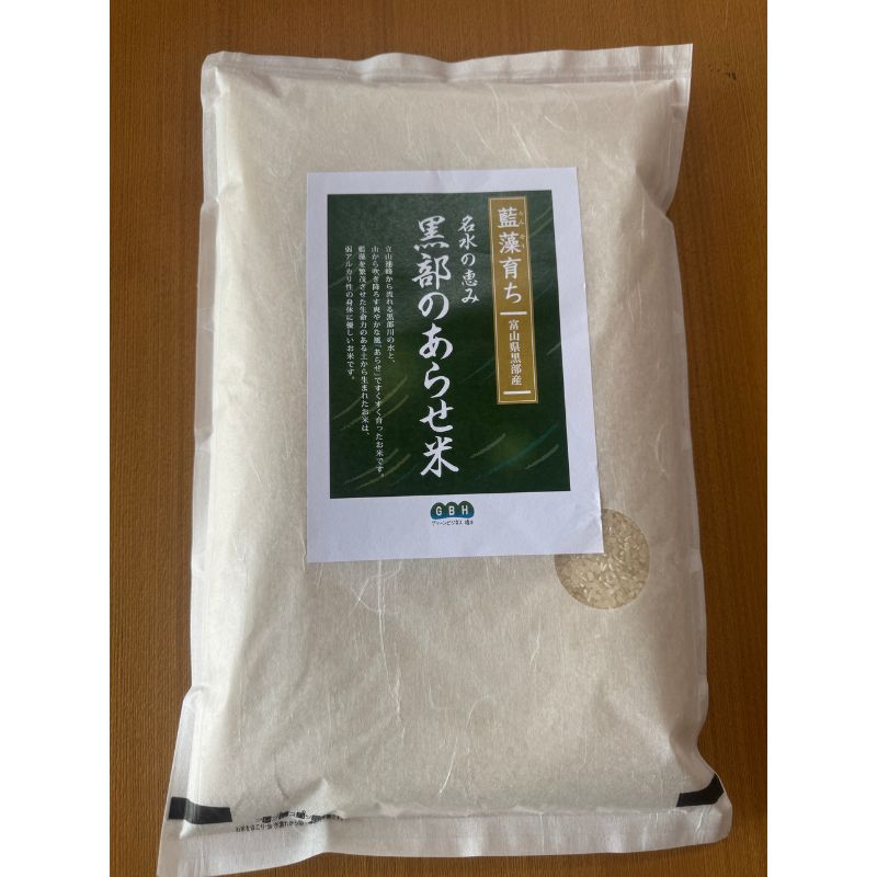 藍藻育ち 富山県黒部産こしひかり (名水の恵み 黒部のあらせ米) 5kg お届け：2026年10月中旬～2027年9月下旬まで