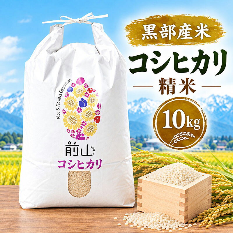 黒部産米 令和8年産コシヒカリ 精米 10kg お米 コメ 白米 こしひかり ご飯 ごはん 富山県 黒部市 お届け：2026年10月上旬～2027年1月中旬まで