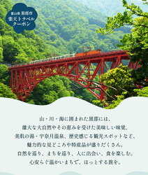 【ふるさと納税】富山県黒部市の対象施設で使える楽天トラベルクーポン　寄付額100,000円 / 富山県 黒部市 画像1