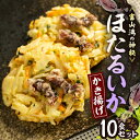 【ふるさと納税】富山産ほたるいか入りかき揚げ【かき揚げ丼の具10食セット】【配送不可地域:離島】【1551201】