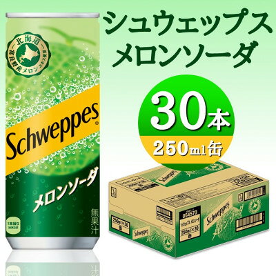 シュウェップスメロンソーダ―250ml缶【1776470】