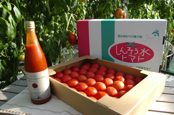 【ふるさと納税】[B44] フルーツトマト（深層水トマト）3kgとトマトジュース大瓶セット