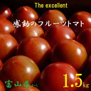 【ふるさと納税】フルーツトマト(深層水トマト)1.5キロ【配送不可地域:離島】【1287333】