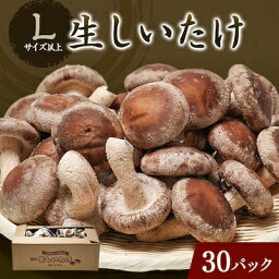 【ふるさと納税】生しいたけ(パック)30P箱入り【配送不可地域：離島】【1288314】