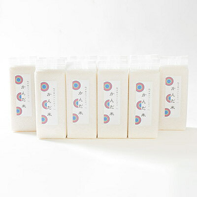 【ふるさと納税】【令和7年産】鮮度の米　かんだ米『コシヒカリ』精米　真空パック　1kg×10袋【1288884】 f162094-oyabe-10000241 富山県小矢部市 サンプル画像2