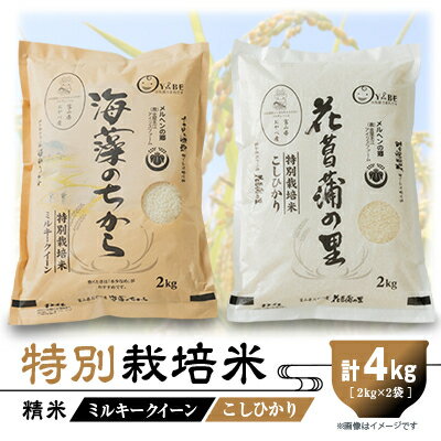 特別栽培米4kg(精米/ミルキークイーン・コシヒカリ 各2kg)