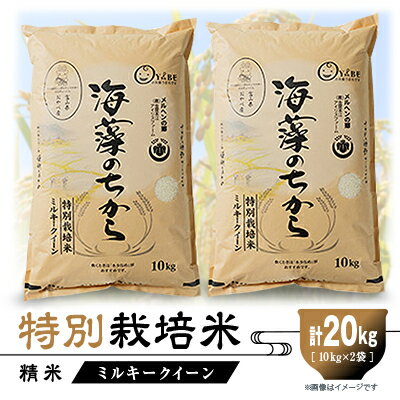 20位! 口コミ数「0件」評価「0」特別栽培米20kg (精米/ミルキークイーン10kg×2)【1290533】