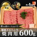 【ふるさと納税】稲葉メルヘン牛(A4-A5) 上カルビ焼肉600g(肩/肩ロース/バラのいずれか)【配送不可地域:離島・北海道・沖縄県・東北・中国・四国・九州】【1291449】