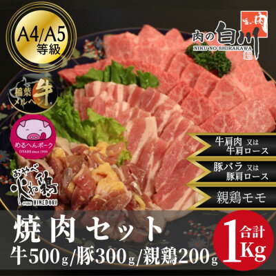 【ふるさと納税】おやべのお肉焼肉セット1kg(和牛カルビ500g・豚300g・親鶏200g)【配送不可地域：離島・北海道・沖縄県・東北・中国・四国・九州】【1291450】