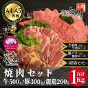 5位! 口コミ数「0件」評価「0」おやべのお肉焼肉セット1kg(和牛カルビ500g・豚300g・親鶏200g)【配送不可地域：離島・北海道・沖縄県・東北・中国・四国・九州】【･･･ 