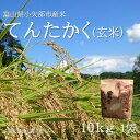【ふるさと納税】【2025年9月上旬頃から順次発送】令和7年産米「てんたかく」(玄米)10kg×1袋【1655809】