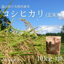 【ふるさと納税】【新米先行予約 2025年10月上旬〜順次発送】令和7年富山県産「コシヒカリ」(玄米)10kg×1袋【1656062】