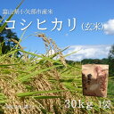 【ふるさと納税】【新米先行予約 2025年10月上旬〜順次発送】令和7年富山県産「コシヒカリ」(玄米)30kg×1袋【1656063】