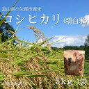 【ふるさと納税】【新米先行予約 2025年10月上旬〜順次発送】令和7年富山県産「コシヒカリ」(精米)5kg×1袋【1656079】