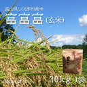 【ふるさと納税】【新米先行予約(2025年10月上旬から順次発送)】令和7年富山県産「富富富」(玄米)30kg×1袋【1656109】