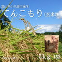 【ふるさと納税】【新米先行予約(2025年11月上旬から順次発送)】令和7年産米「てんこもり」(玄米)5kg×1袋【1656153】