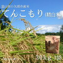 【ふるさと納税】【新米先行予約(2025年11月上旬から順次発送)】令和7年産米「てんこもり」(精米)30kg×1袋【1656178】