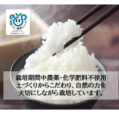 【ふるさと納税】栽培期間中農薬・化学肥料不使用　こしひかり　白米 5kg×1袋(5kg)...