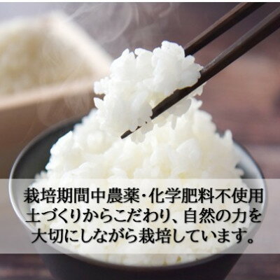 【ふるさと納税】栽培期間中農薬・化学肥料不使用　こしひかり　白米 5kg×4袋(20kg...
