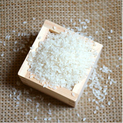 【ふるさと納税】栽培期間中農薬・化学肥料不使用　こしひかり　白米 5kg×4袋(20kg...