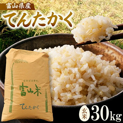 【ふるさと納税】令和8年産「てんたかく」玄米30kg×1袋【1772368】