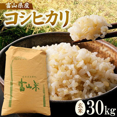 【ふるさと納税】令和8年産「コシヒカリ」玄米30kg×1袋【1772369】