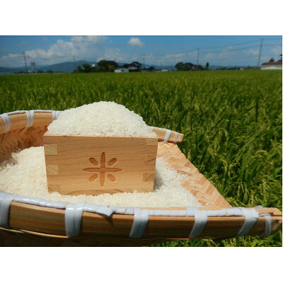 【ふるさと納税】【新米】令和8年産 富山県小矢部市産 コシヒカリ 玄米30kg(30kg×1袋)【1772369】 f162094-oyabe-10001136 富山県小矢部市 サンプル画像2